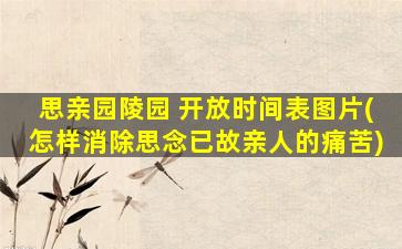 思亲园陵园 开放时间表图片(怎样消除思念已故亲人的痛苦)
